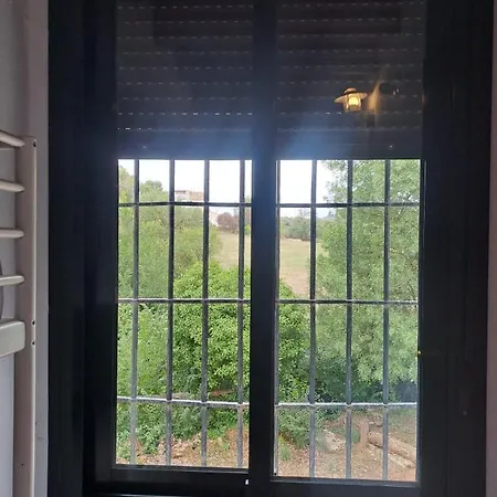 Hostel Conviven Ecocultural *