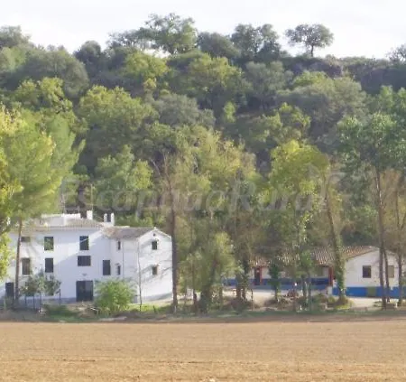Conviven Ecocultural Viñuela
